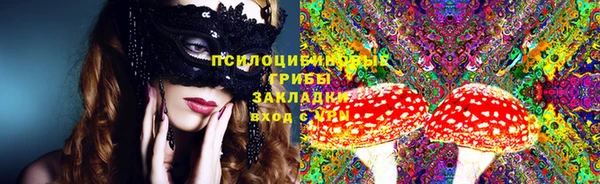 крисы Балахна