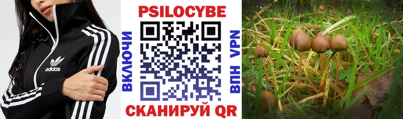 Псилоцибиновые грибы MAGIC MUSHROOMS  Удомля 